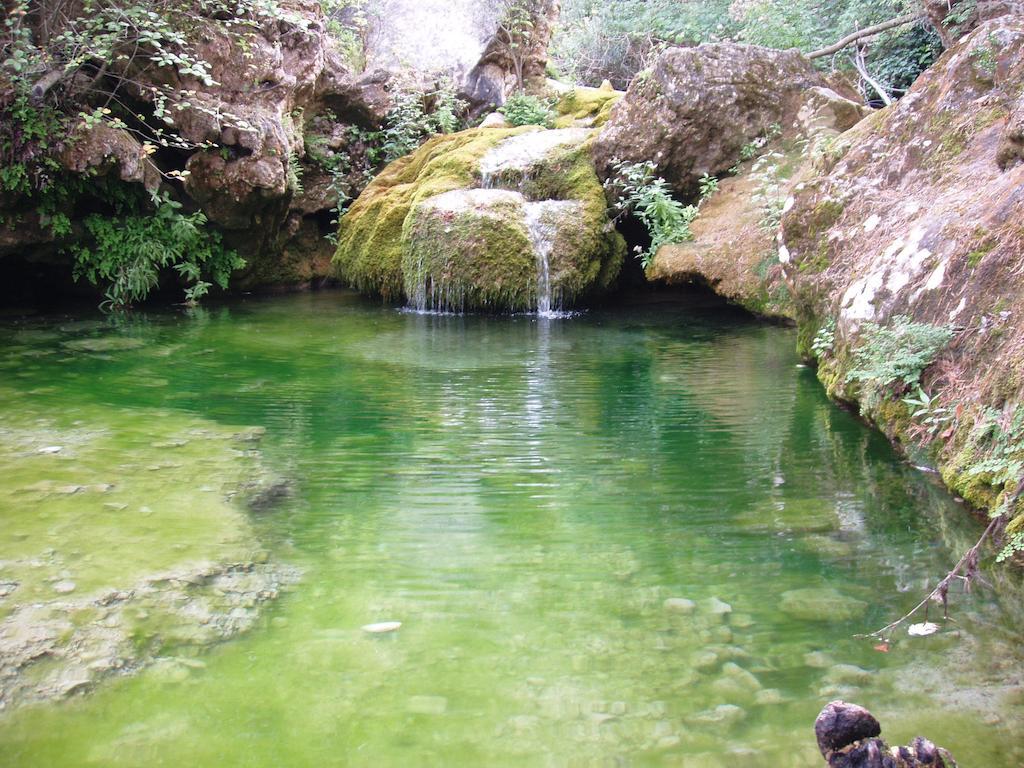 בית הארחה Rojals 	Mas De L'Arlequi מראה חיצוני תמונה